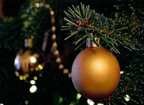 Desemberkveld Birkebeineren hotel 9. desember kl 19: