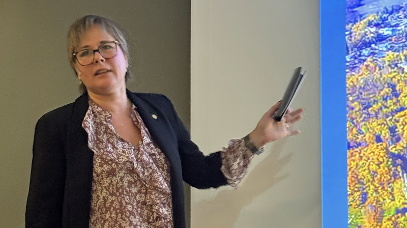 Min reise, mitt valg, mitt mot og min utvikling.